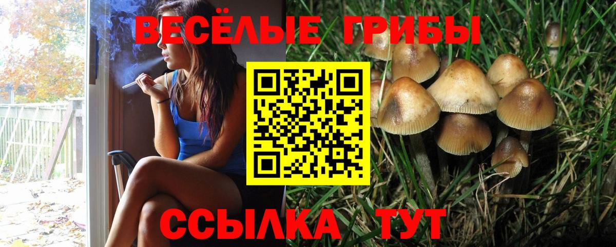 Орехово-Зуево  Галлюциногенные грибы прущие грибы  Вход с VPN 