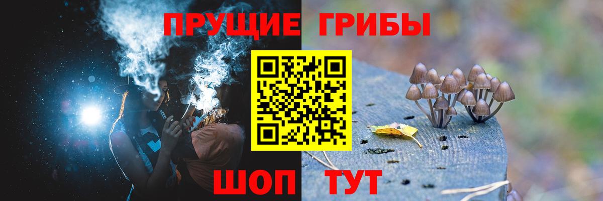 Галлюциногенные грибы GOLDEN TEACHER Орехово-Зуево
